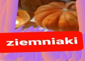 Szydłowiec Ziemniaki Ziemniaki